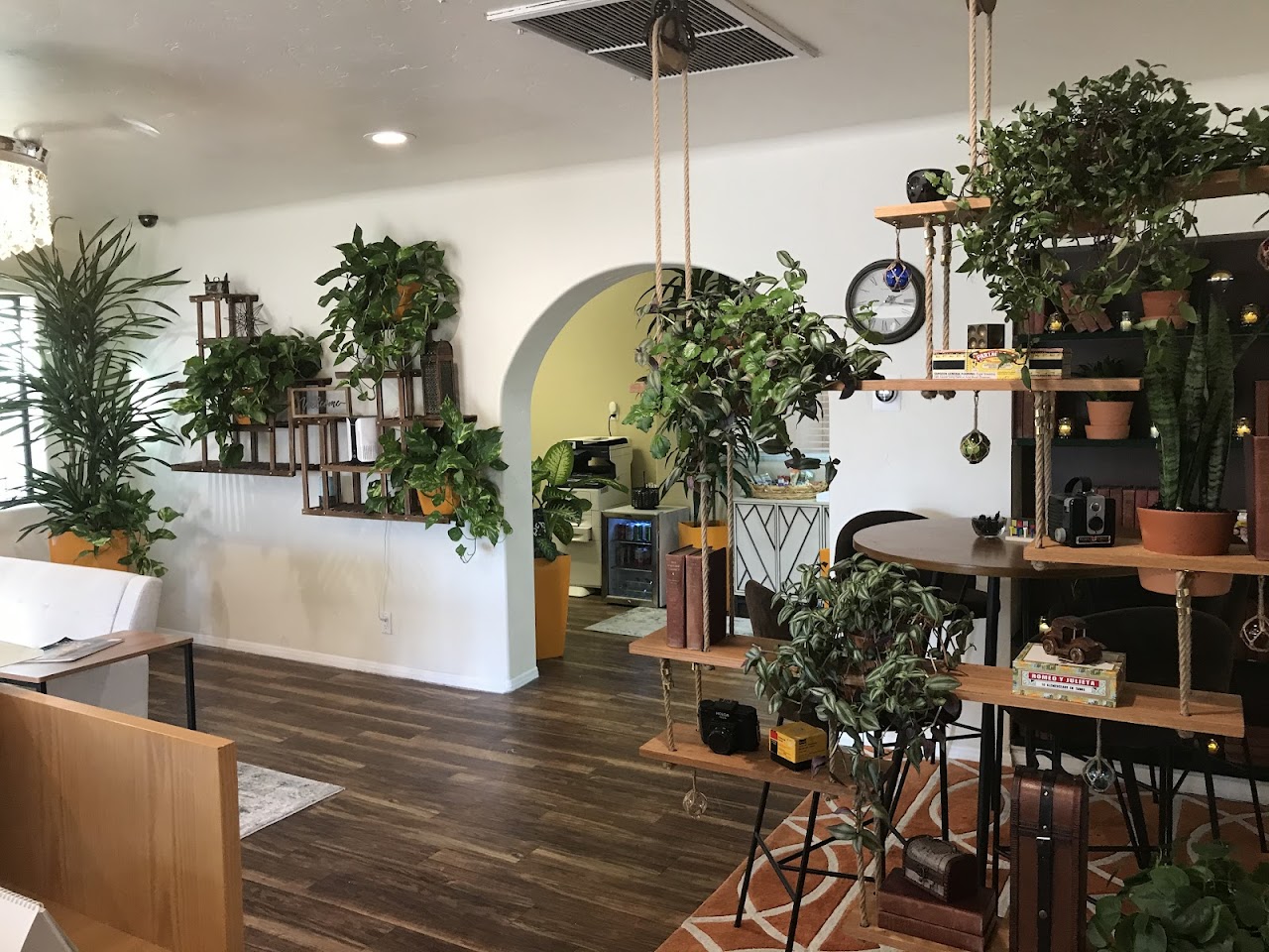 Lulu Pokinghorn - The Plant Lady project